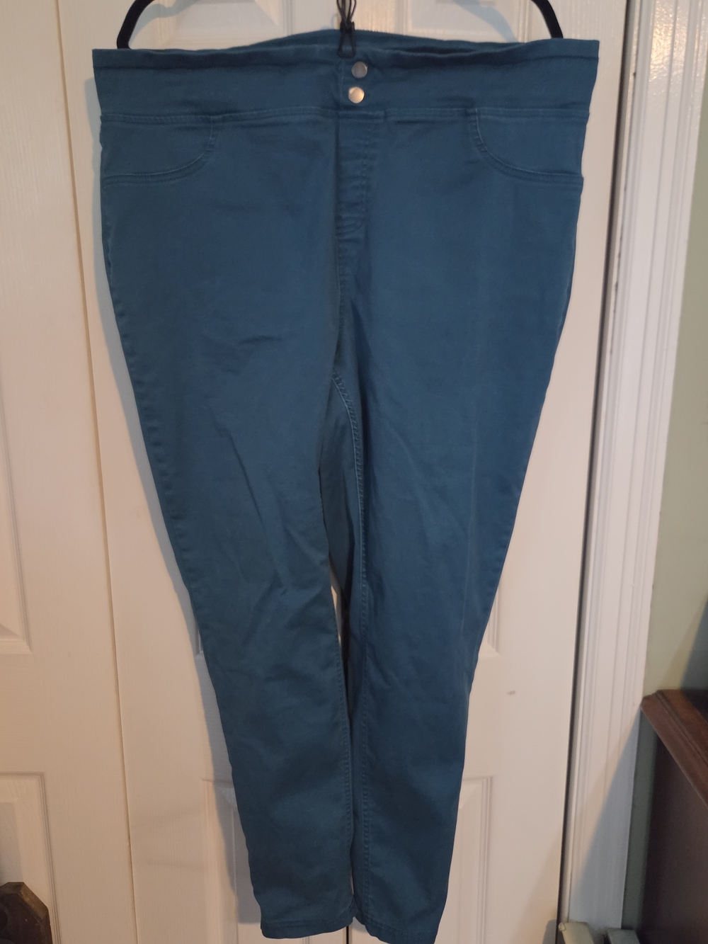 Terra & Sky Teal Pull On Tapered Pants, 1X